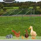 3x6x2m Chicken Run Walk in Chicken Cage Poultry Pet Coop for Rabbit Hen House Pen Metal Chicken Cage in Grey