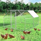 CE PVC Coating 3x4m Metal Walk In Chicken Coop