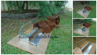 CE Self Opening 8.2L Automatic Timer Chicken Feeder