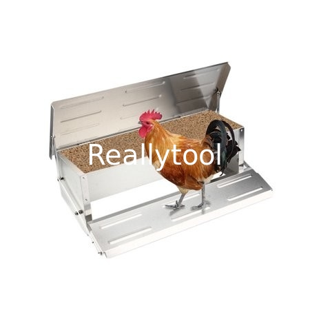 CE Anti Feed Theft 5kgs Automatic Timer Chicken Feeder