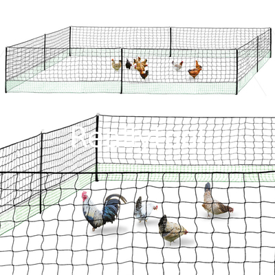 50 M Chicken Net Fence Kit With Gate Double Pointed Posts in Green with Fibreglass Rod