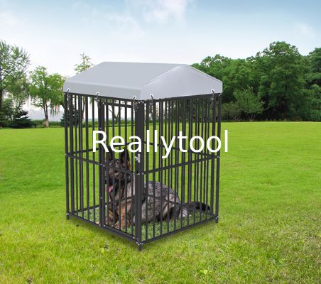 Outdoor Dog Kennel